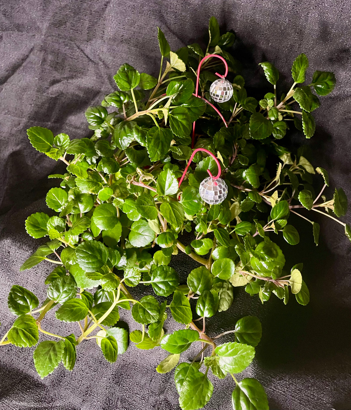 Disco Ball With Red Pole Plant Accessory
