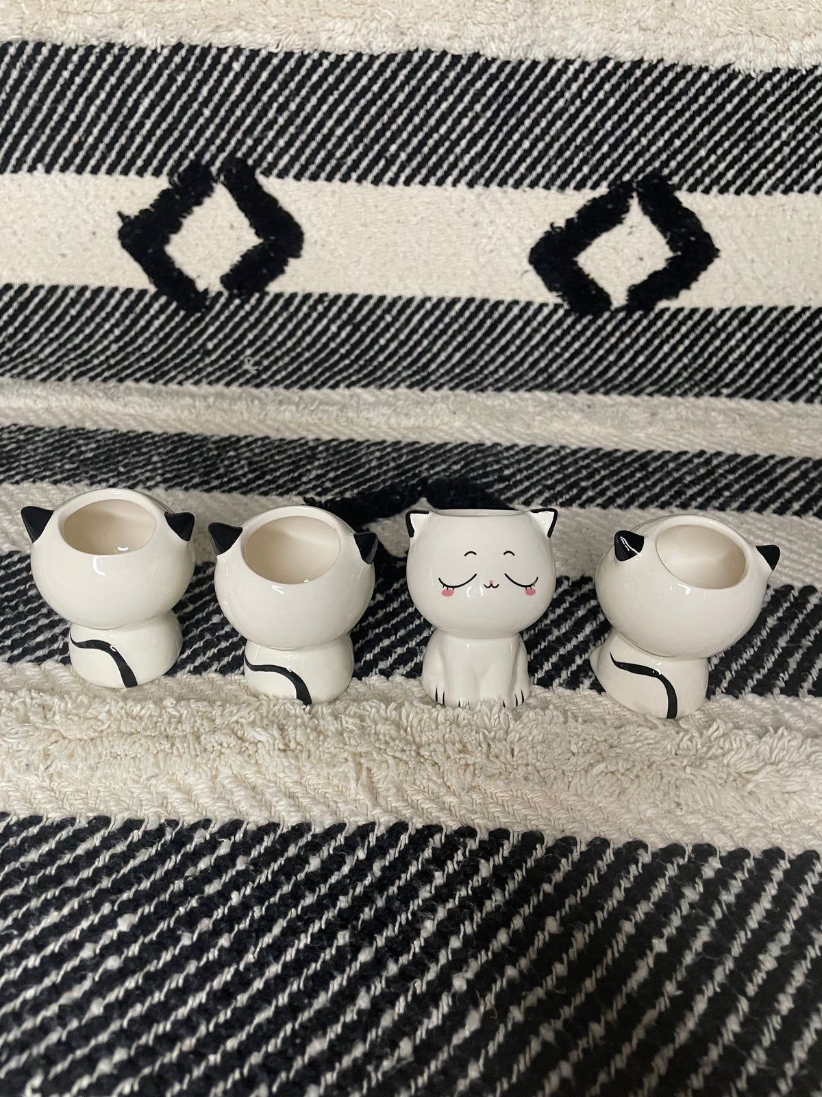 Mini Anime Ceramic Cat Planter