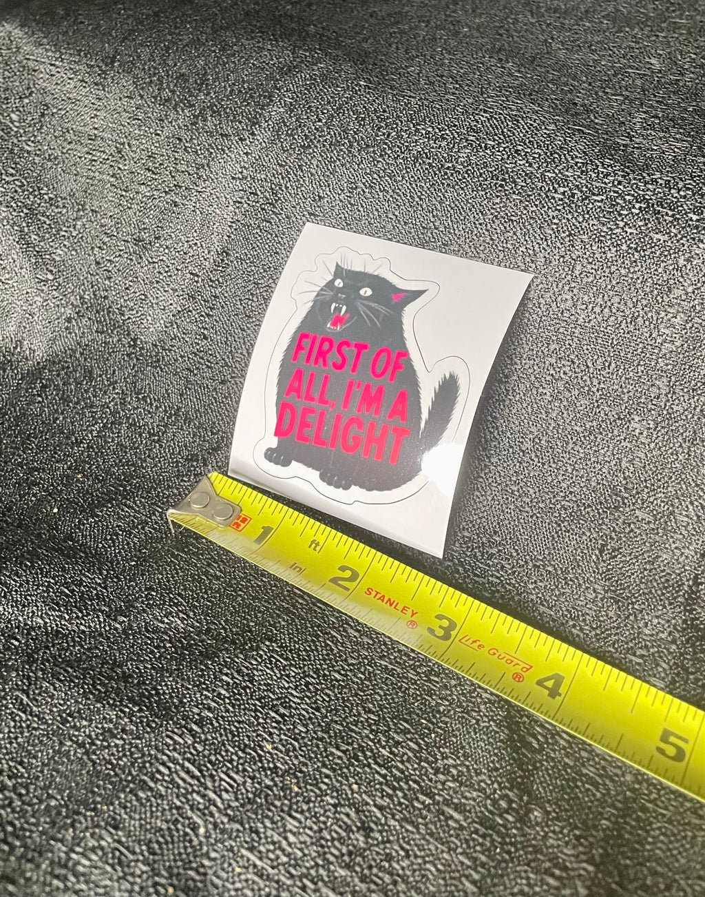 Black Cat Sticker