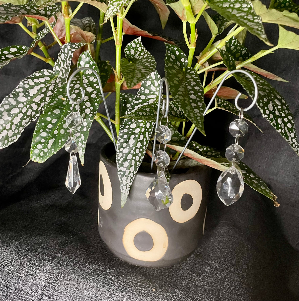 Chandelier Dangle Plant Accessory