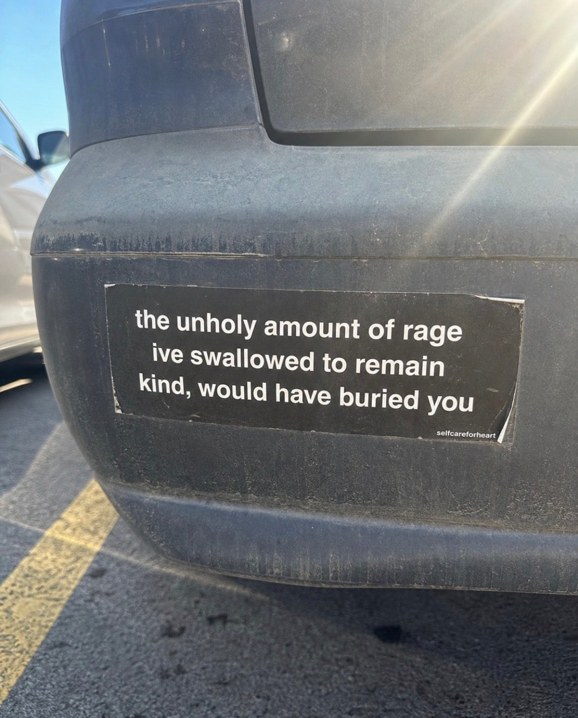 the unholy amount of rage I’ve swallowed to remain kind would have buried you Bumper Sticker