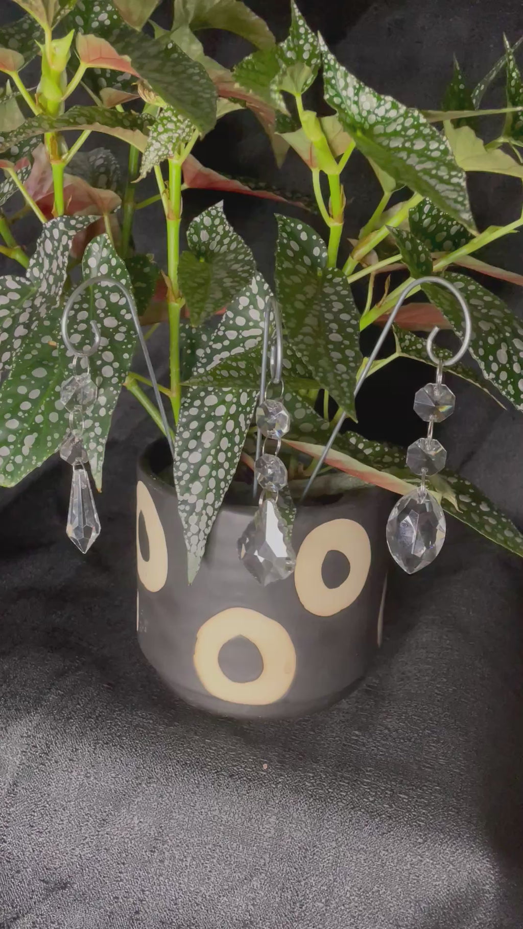 Chandelier Dangle Plant Accessory