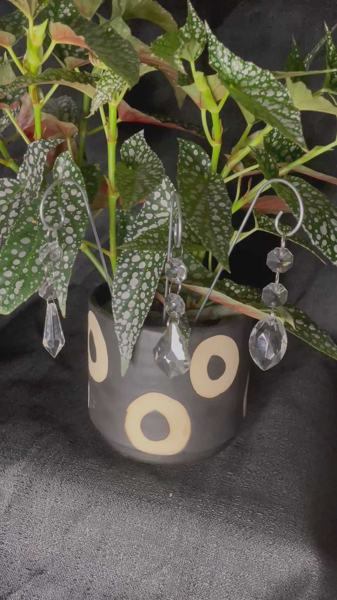 Chandelier Dangle Plant Accessory