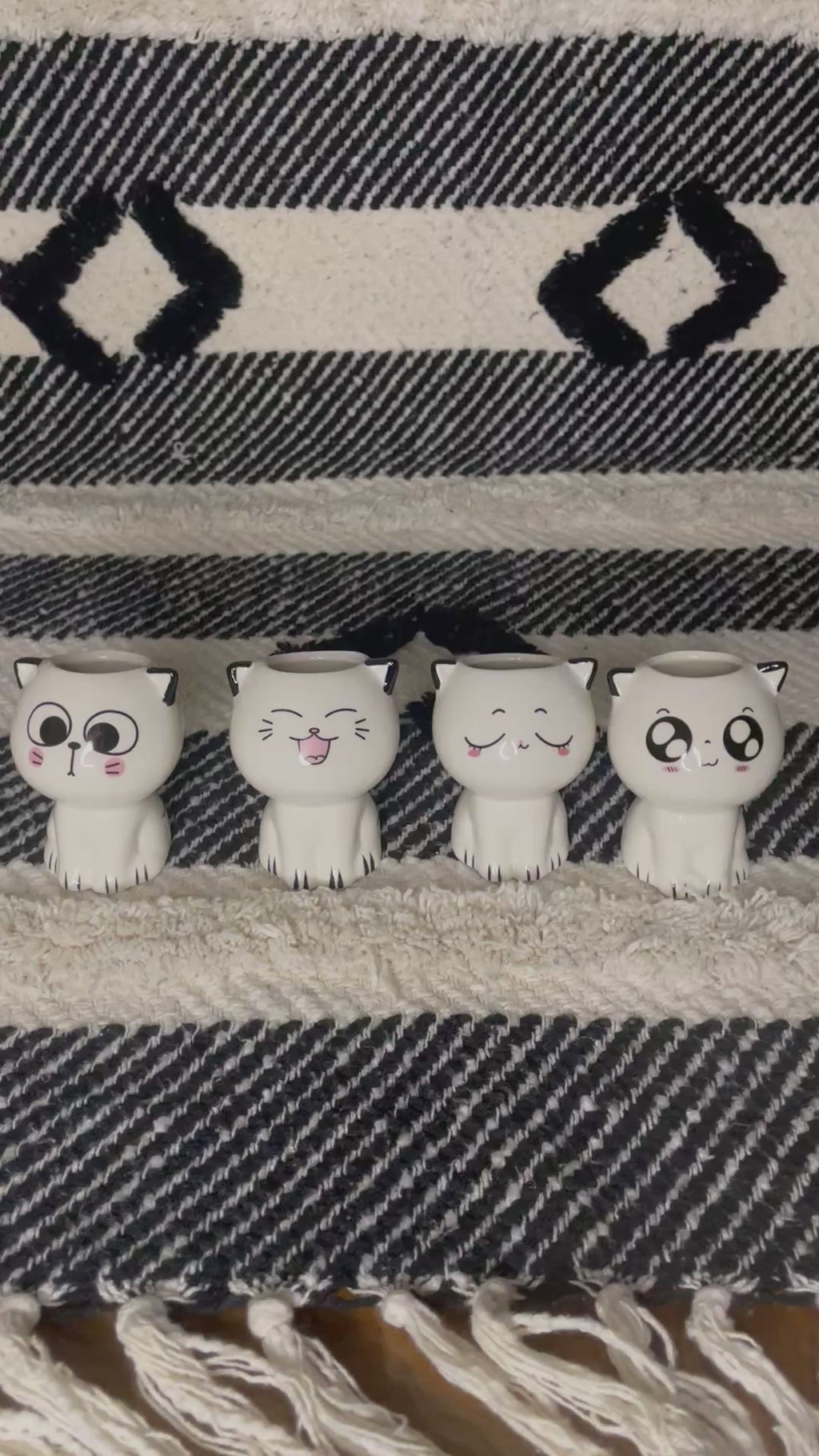 Mini Anime Ceramic Cat Planter